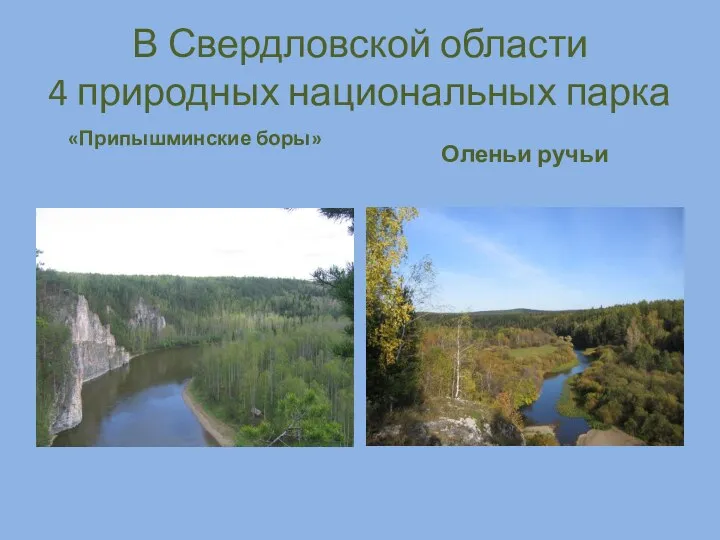 В Свердловской области 4 природных национальных парка «Припышминские боры» Оленьи ручьи