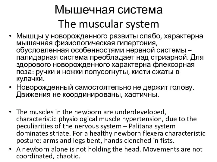Мышечная система The muscular system Мышцы у новорожденного развиты слабо, характерна