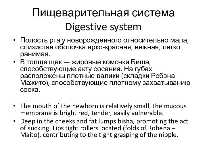 Пищеварительная система Digestive system Полость рта у новорожденного относительно мала, слизистая