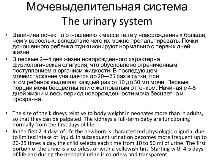 Мочевыделительная система The urinary system Величина почек по отношению к массе