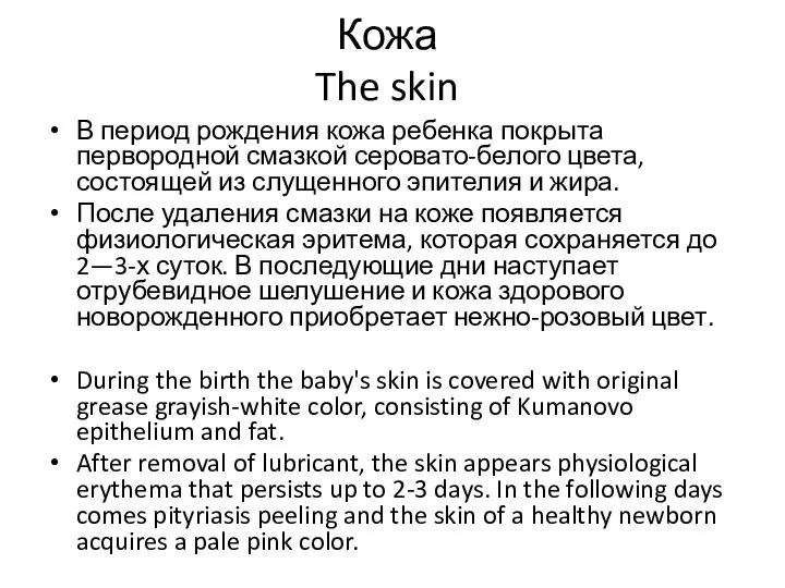 Кожа The skin В период рождения кожа ребенка покрыта первородной смазкой