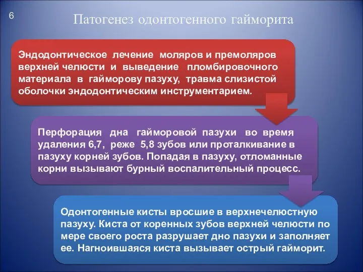 Патогенез одонтогенного гайморита Эндодонтическое лечение моляров и премоляров верхней челюсти и