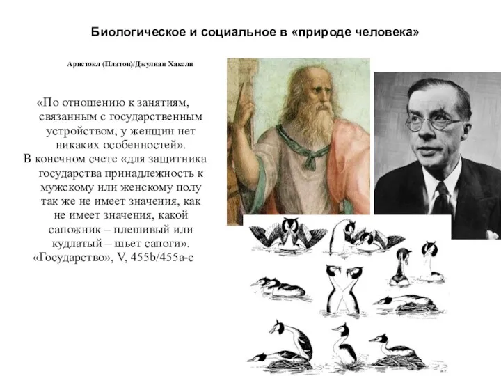 Биологическое и социальное в «природе человека» Аристокл (Платон)/Джулиан Хаксли «По отношению