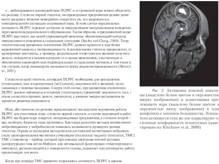 «…наблюдавшееся взаимодействие DLPFC и островковой коры можно объяснить по-разному. Согласно первой