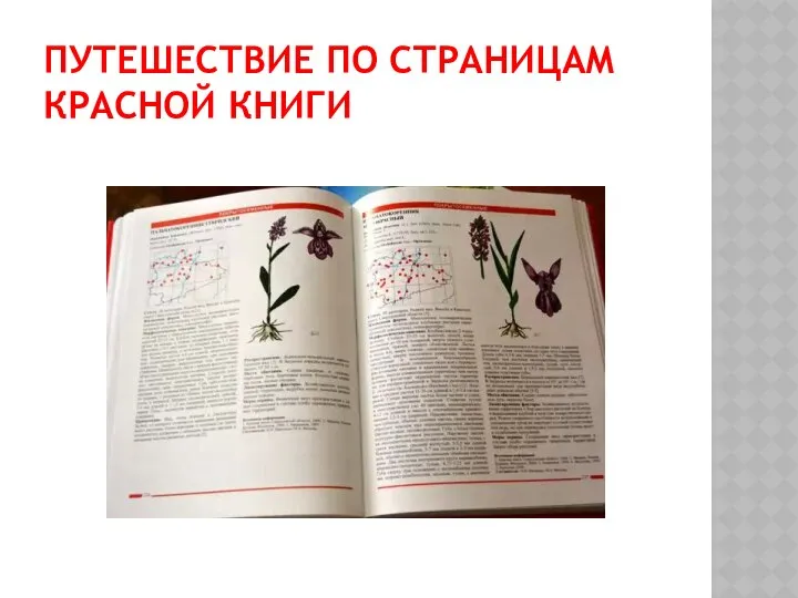 ПУТЕШЕСТВИЕ ПО СТРАНИЦАМ КРАСНОЙ КНИГИ