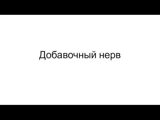 Добавочный нерв