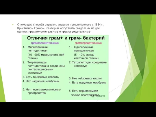 С помощью способа окраски, впервые предложенного в 1884 г. Кристианом Грамом,