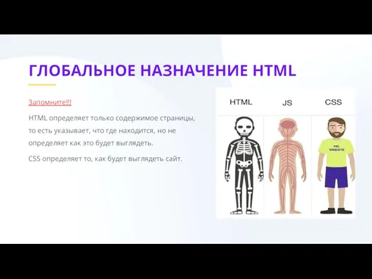 ГЛОБАЛЬНОЕ НАЗНАЧЕНИЕ HTML Запомните!!! HTML определяет только содержимое страницы, то есть