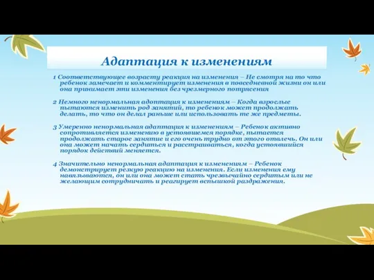 Адаптация к изменениям 1 Соответствующее возрасту реакция на изменения – Не