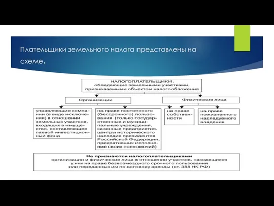 Плательщики земельного налога представлены на схеме.