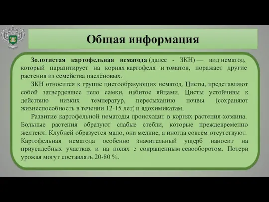 Общая информация Золотистая картофельная нематода (далее - ЗКН) — вид нематод,