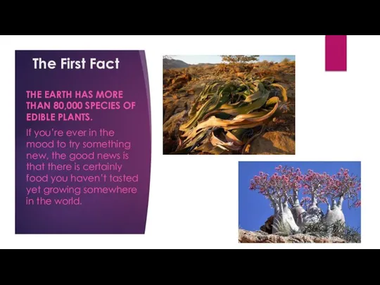 The First Fact THE EARTH HAS MORE THAN 80,000 SPECIES OF