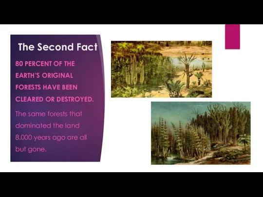 The Second Fact 80 PERCENT OF THE EARTH’S ORIGINAL FORESTS HAVE