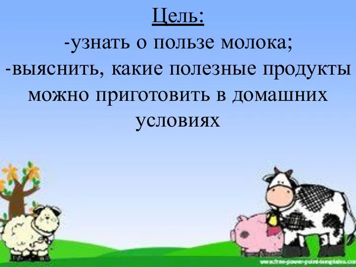 Цель: -узнать о пользе молока; -выяснить, какие полезные продукты можно приготовить в домашних условиях