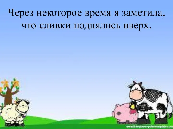 Через некоторое время я заметила, что сливки поднялись вверх.