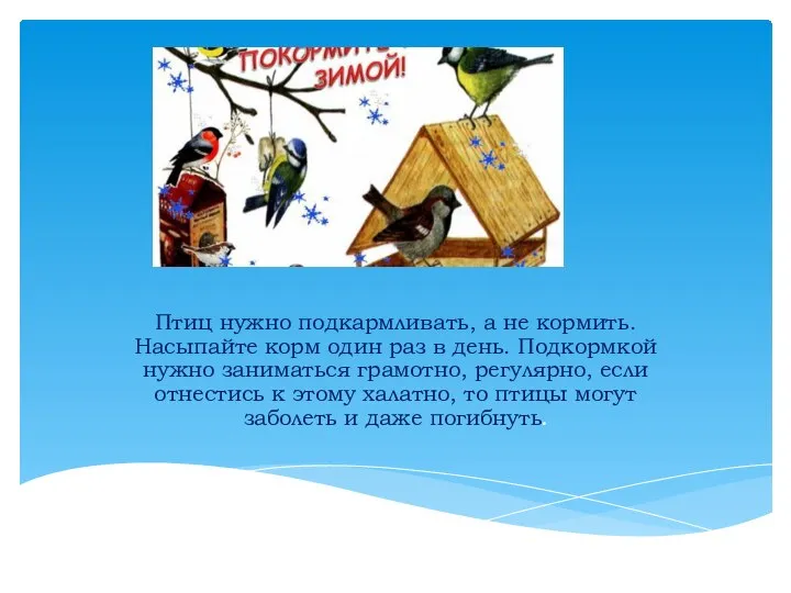 Птиц нужно подкармливать, а не кормить. Насыпайте корм один раз в