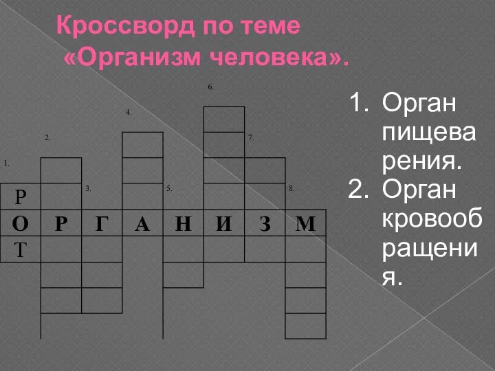 Кроссворд по теме «Организм человека». Орган пищеварения. Орган кровообращения.