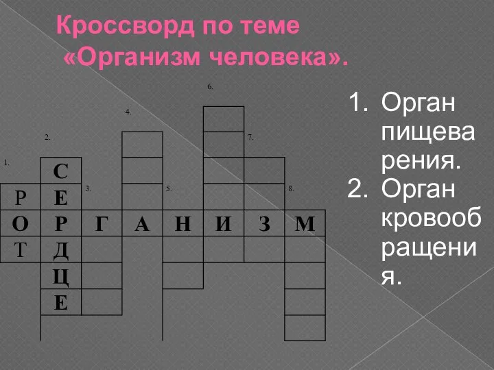 Кроссворд по теме «Организм человека». Орган пищеварения. Орган кровообращения.