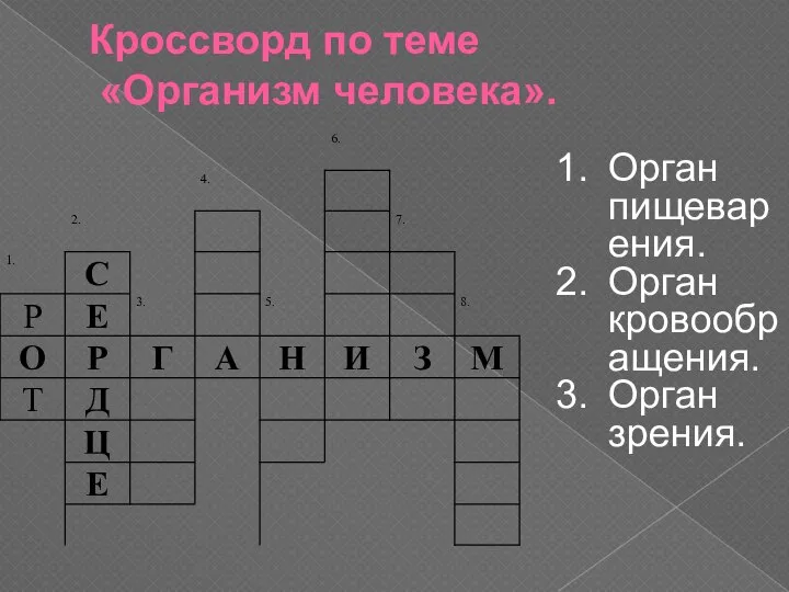 Кроссворд по теме «Организм человека». Орган пищеварения. Орган кровообращения. Орган зрения.