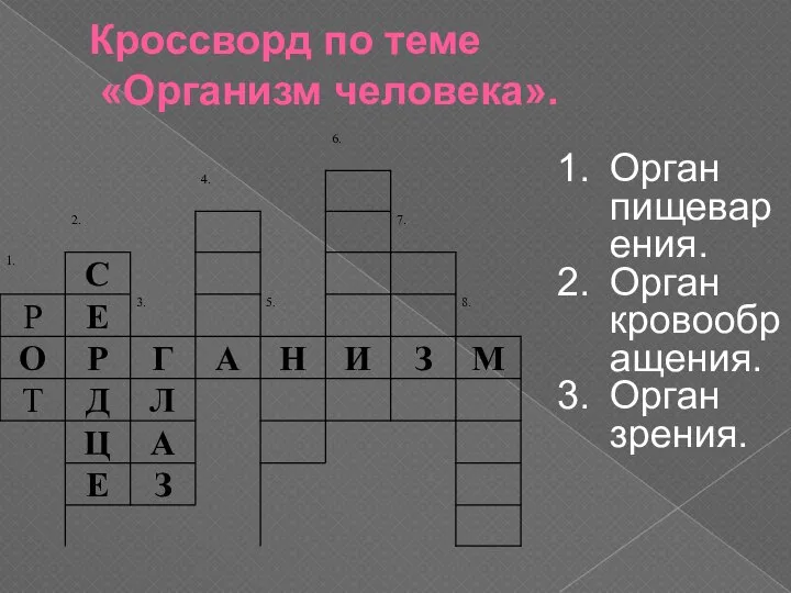 Кроссворд по теме «Организм человека». Орган пищеварения. Орган кровообращения. Орган зрения.