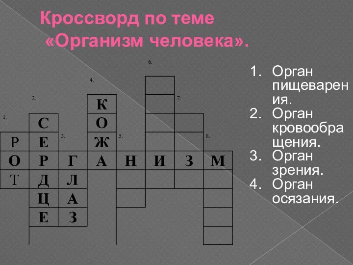 Кроссворд по теме «Организм человека». Орган пищеварения. Орган кровообращения. Орган зрения. Орган осязания.