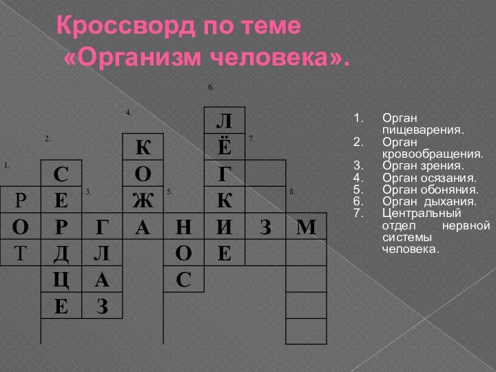 Кроссворд по теме «Организм человека». Орган пищеварения. Орган кровообращения. Орган зрения.