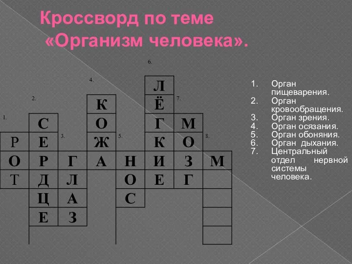 Кроссворд по теме «Организм человека». Орган пищеварения. Орган кровообращения. Орган зрения.