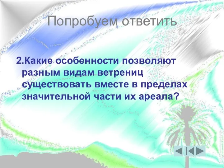 Попробуем ответить 2.Какие особенности позволяют разным видам ветрениц существовать вместе в пределах значительной части их ареала?