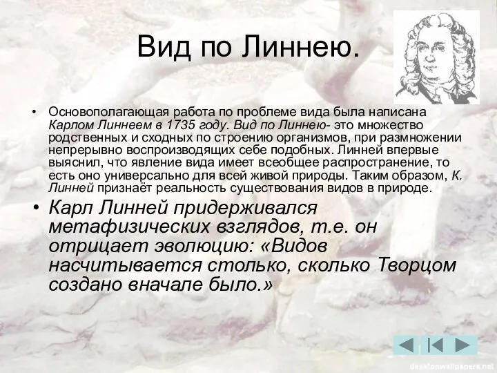 Вид по Линнею. Основополагающая работа по проблеме вида была написана Карлом