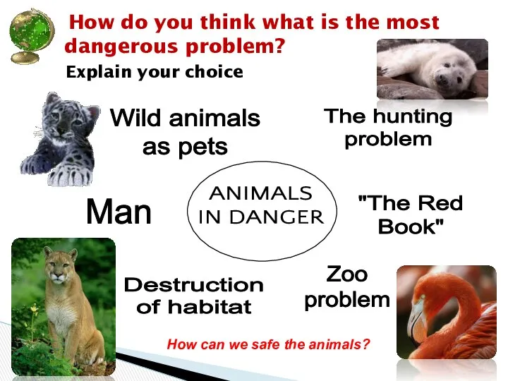 How do you think what is the most dangerous problem? Explain