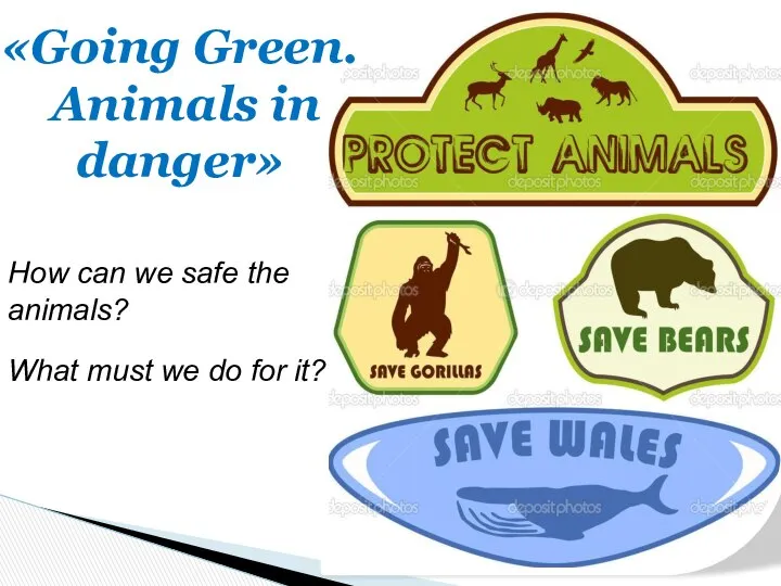 How can we safe the animals? What must we do for