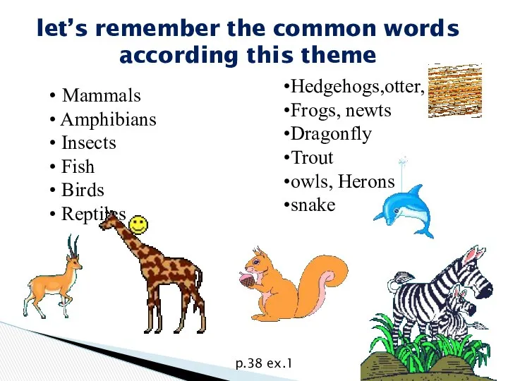 Mammals Amphibians Insects Fish Birds Reptiles let’s remember the common words