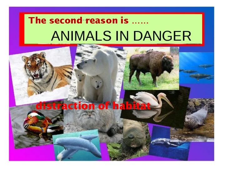 distraction of habitat …… The second reason is ……