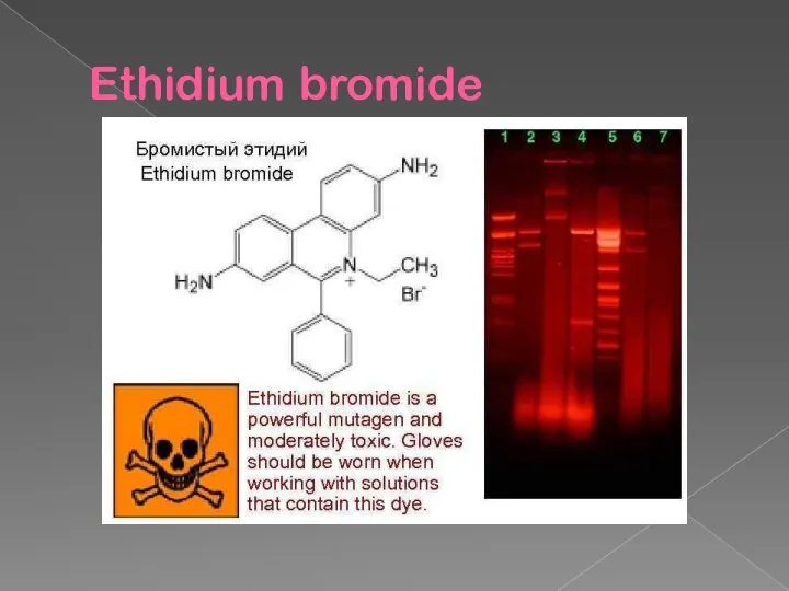 Ethidium bromide