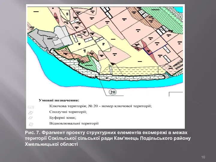 Рис. 7. Фрагмент проекту структурних елементів екомережі в межах території Сокільської