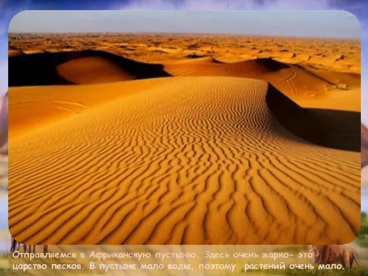 Отправляемся в Африканскую пустыню. Здесь очень жарко- это царство песков. В