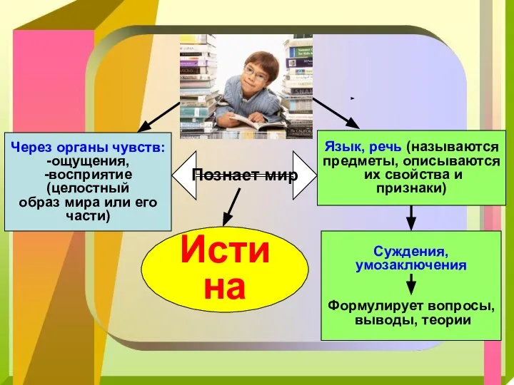 Через органы чувств: -ощущения, -восприятие (целостный образ мира или его части)