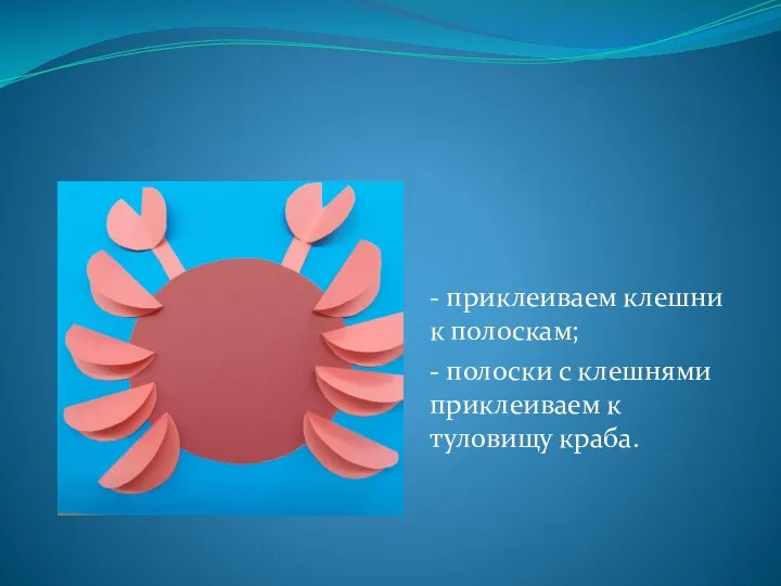 - приклеиваем клешни к полоскам; - полоски с клешнями приклеиваем к туловищу краба.