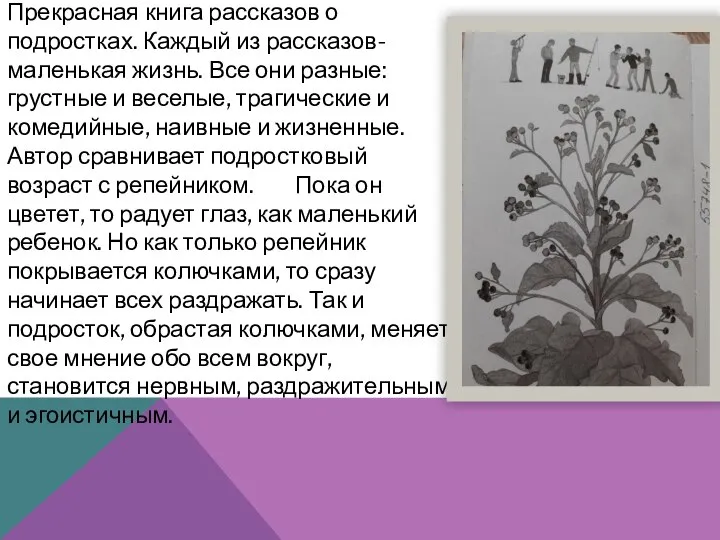 Прекрасная книга рассказов о подростках. Каждый из рассказов-маленькая жизнь. Все они