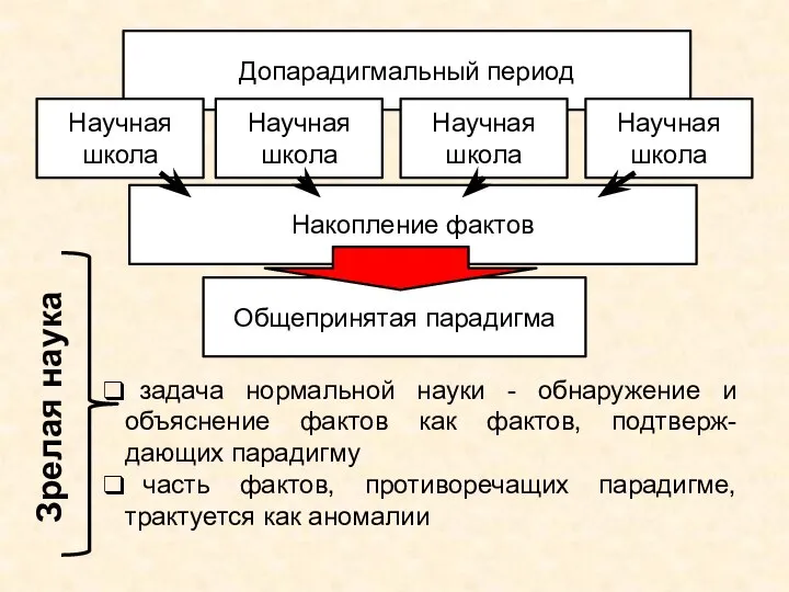 Допарадигмальный период Научная школа Научная школа Научная школа Научная школа Накопление