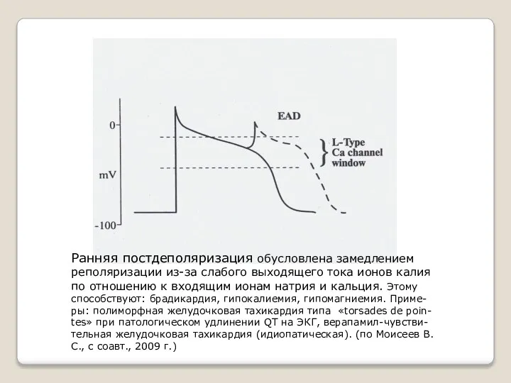 Ранняя постдеполяризация обусловлена замедлением реполяризации из-за слабого выходящего тока ионов калия