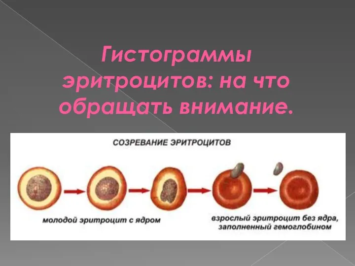 Гистограммы эритроцитов: на что обращать внимание.