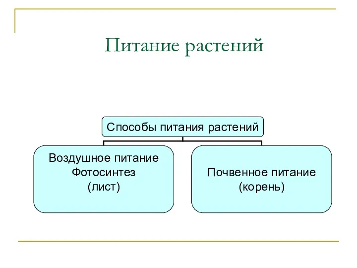 Питание растений