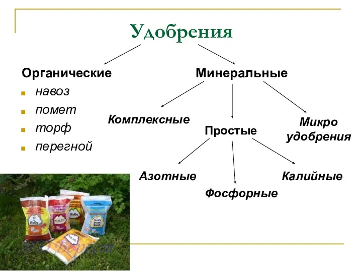 Удобрения Органические навоз помет торф перегной Минеральные Азотные Фосфорные Калийные Комплексные Микро удобрения Простые