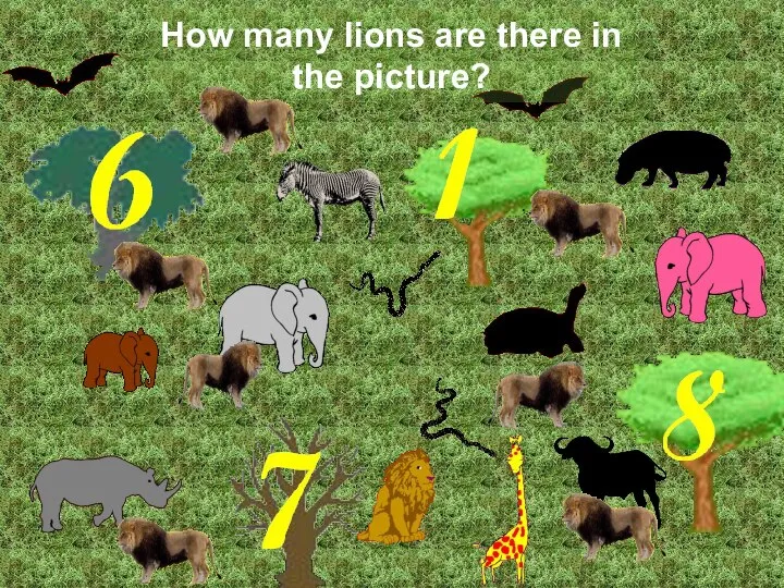 How many lions are there in the picture? Correct! There are 8 lions.