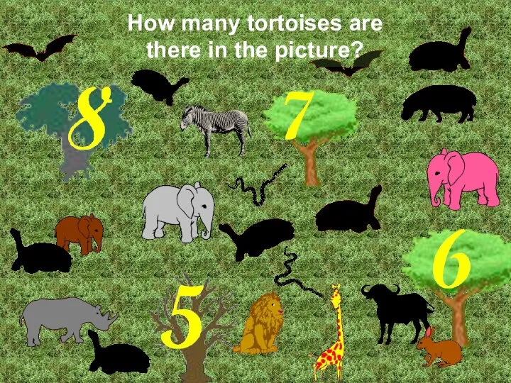 How many tortoises are there in the picture? Correct! There are 6 tortoises.
