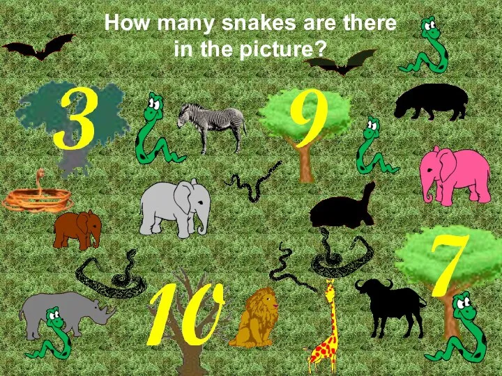 How many snakes are there in the picture? Correct! There are 10 snakes.