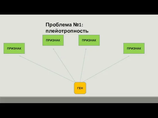 Проблема №1: плейотропность ГЕН ПРИЗНАК ПРИЗНАК ПРИЗНАК ПРИЗНАК