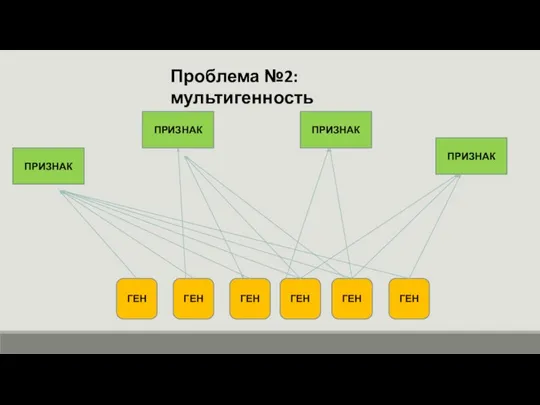 Проблема №2: мультигенность ПРИЗНАК ПРИЗНАК ПРИЗНАК ПРИЗНАК ГЕН ГЕН ГЕН ГЕН ГЕН ГЕН