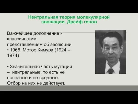 Нейтральная теория молекулярной эволюции. Дрейф генов Важнейшее дополнение к классическим представлениям